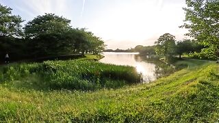 Tortoiseshell cat swims in a beautiful sunset