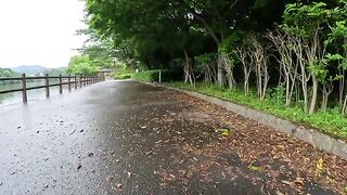 The cat approaches the covered bench with the man.