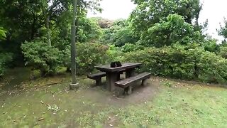 A man on a table massages a black cat that looks like a bear.