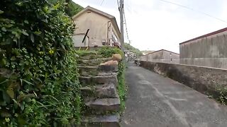 Two orange cats are pleasantly dozing on the stairs