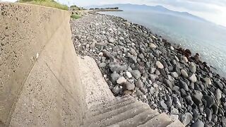 Cute cats greet me on the stairs leading to the sea