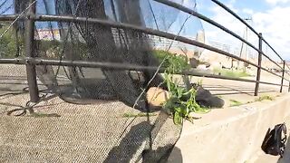 A cat lies on a fishing net and attacks a human hand