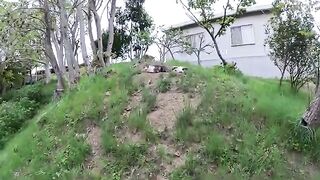 Three cats huddle together on a hill and rest