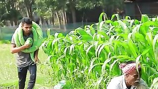 KING_COBRA_SNAKE_PRANK_ON_GRANDPA_Part_68_!__EMTIAZ_BHUYAN#Shorts(480p).