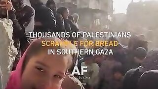 Thousands of Palestinians scramble for bread in southern Gaza