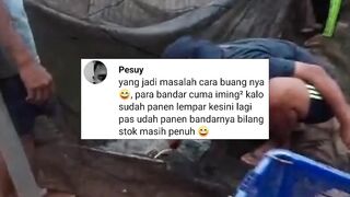 Katanya kalau panen lempar sini lagi, pas sudah panen bandar bilang stok penuh ????