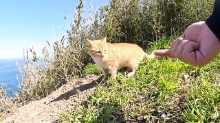 While I was looking at the beautiful sea, the cat spoke to me in a sweet voice.