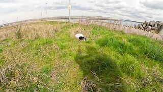 A white cat that slept curled up was surprised by a man.