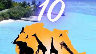 الدول الإفريقية الأكثر جذباً للسياحThe African countries most attractive to tourists