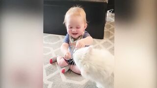 Cutest Babies Play With Dogs And Cats Compilation __ Cool