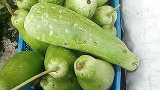 In Bangladesh now 80-90 taka per gourd