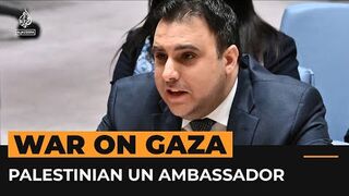 Palestinian UN ambassador calls out Security Council inaction