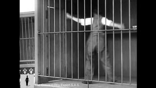 Charlie Chaplin - The Lion Cage - Full Scene (The Circus_ 1928)(720P_HD)