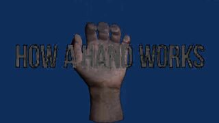 How a hand works