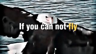 If you cannot fly