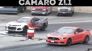 RACE SPORT GT RACE SPORT GT Ford Mustang Coyote vs Camaro ZL1 #fordmustang #mustangcoyote #camarozl1 #chevy #camaro #ford #races