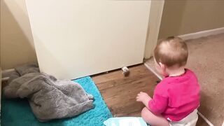 Funny Babies Playing with Dogs Compilation