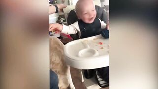 baby playing with dog2