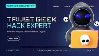 BITCOIN INVESTMENT RECOVERY EXPERT-REACH OUT TO TRUST GEEKS HACK EXPERT