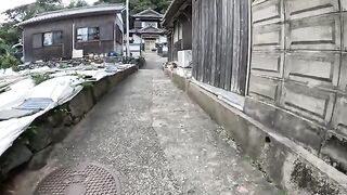 Many cats gather together and take a nap in the alleys of the island.