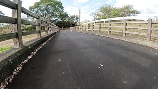 The cat plays with the man and approaches the bench