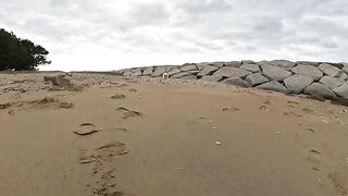 When I went to the beach, a cute cat chased me.