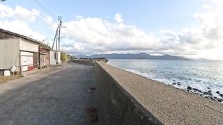 When I went to the beach, many cats greeted me on the embankment.