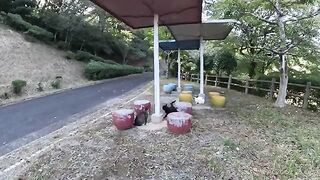 When I went to the rest area, I was greeted by three fat cats.