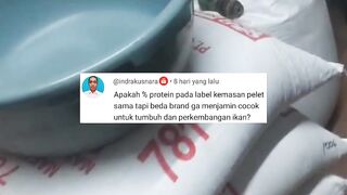 Walaupun persentase PROTEIN pada pakan SAMA tapi belum tentu BAGUS semuanya