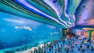 Chimelong Ocean Kingdom is a massive theme park located in Hengqin, Zhuhai, China.