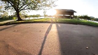 The cream cat invites the brown tabby cat to go to the barn