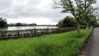 A man touched a cat climbing a fence.