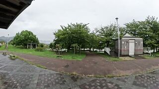 A tabby cat sheltering from the rain talks to a man in a sweet voice