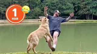 Funniest Cats and Dogs Videos ???????? || ???????? Hilarious Animal Compilation