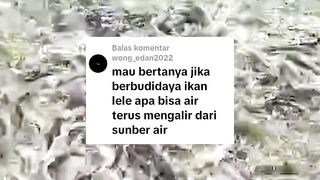 Budidaya ikan lele apa bisa dikolam yang airnya mengalir terus❓