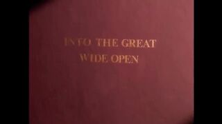 Tom Petty And The Heartbreakers - Into The Great Wide Open (Official Music Video)(720P_HD).