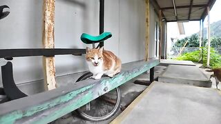 During lunch break, I play on the balance beam.