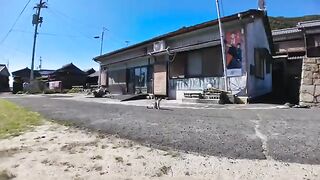 A talking cat in front of a store on Nekojima