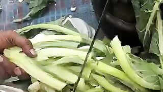 Making  Cauliflower Recipe in Jungle