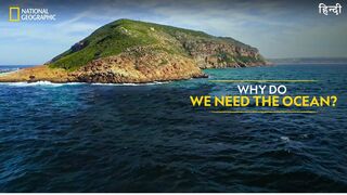 Why Do We Need the Ocean? | Hostile Planet | Full Episode S01-E02 | हिन्दी | National Geographic