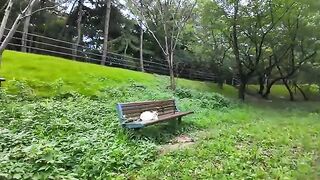 A cat was sitting on a bench in the park, so I sat next to it and started nudging.