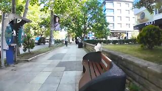 A cat waiting for someone to sit on a bench on the sidewalk