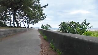 Petting the cats sleeping on the breakwater