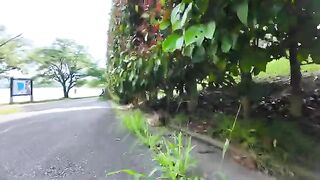 A cat in the park who was resting in the shade happily came out to be petted when he saw her face.