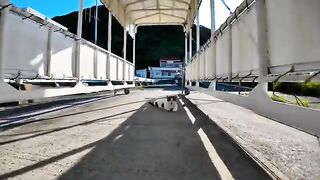 A cat sleeping in the shade at the ferry terminal talks a lot