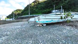 A stray cat under a boat at the fishing port is so cute as it purrs and cuddles up to you.