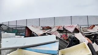 A calico cat with a heart symbol was sleeping in a shed at the fishing port, and a bearded Hachiware cat also came.