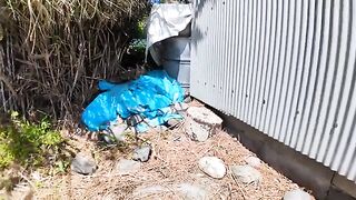 A kitten hiding behind a warehouse musters up the courage to come out and reach its mama cat.