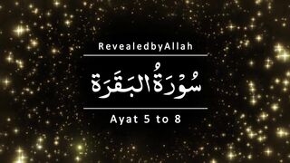 2-Surah Baqarah | Verse 5 to 8 | Urdu English [Subtitles] | Beautiful Voice