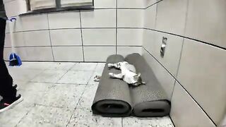 Inside a subway station, there is a mat rolled up for some reason and a cat sleeping on it.